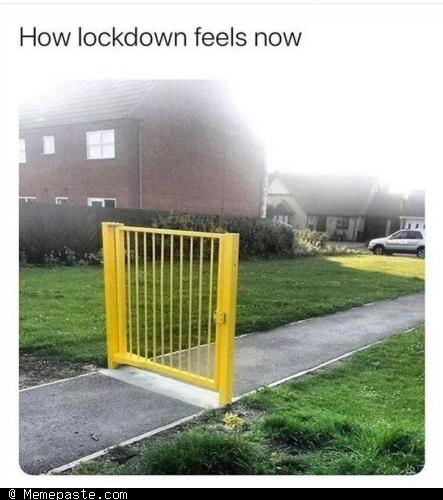 Meme