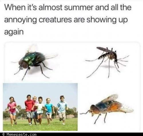 Meme