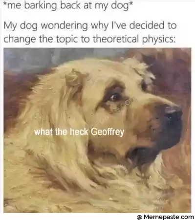 me barking back at my dog r dog wondering why I ve decided to r the topic to theoretical physics r n flag r n If V r n th neck Geoffrey r n liter J I a r n was r n if x r yen i f r n r n 