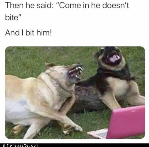 Meme