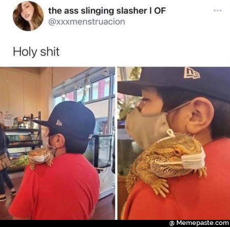the ass slinging shit 