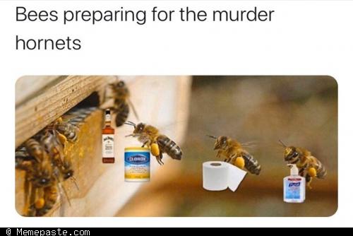 Meme