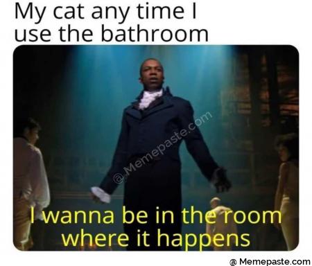 My cat any time the bathroom wanna be in oom where it ha ens 