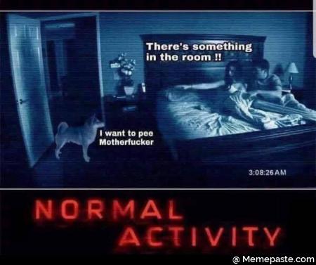There something in the room want to pee Normal activity 