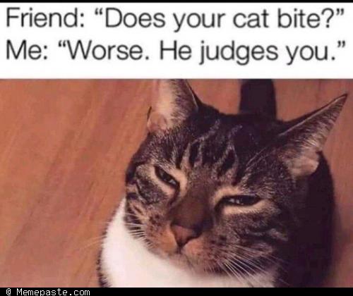 Meme