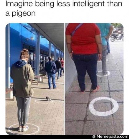 Meme
