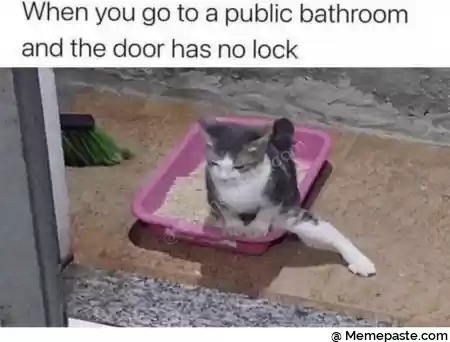 When you go to a public bathroom r nand the door has no look r n r nI 2 if r n r n 