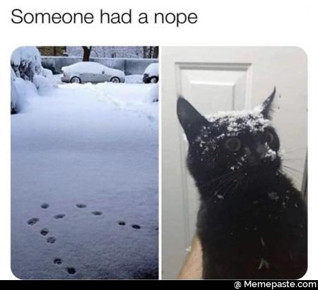 Meme