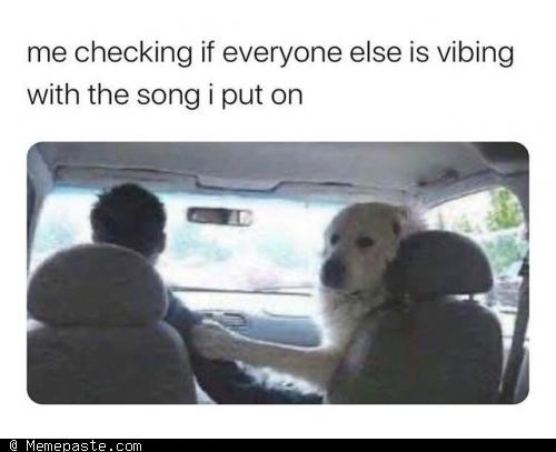 Meme